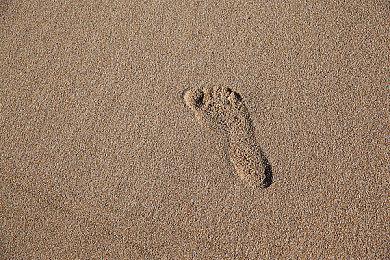 《极限竞速：地平线5》新DLC斗鱼主播招募、货拉拉涂装活动开启